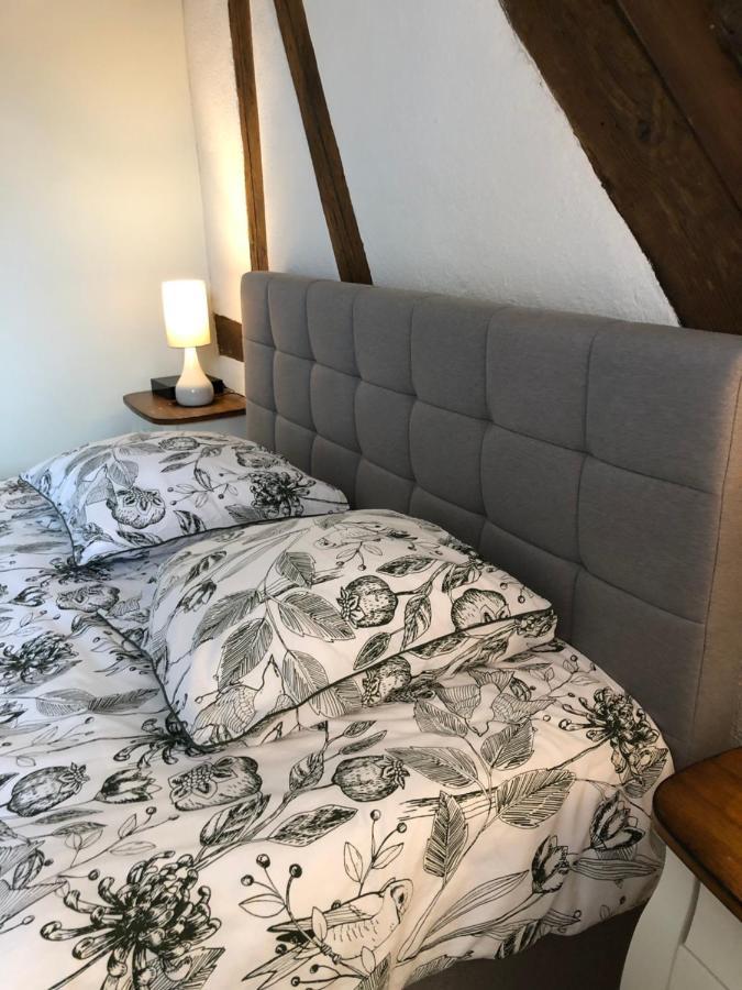 Apartamento Colombages De La Lauch Colmar Exterior foto