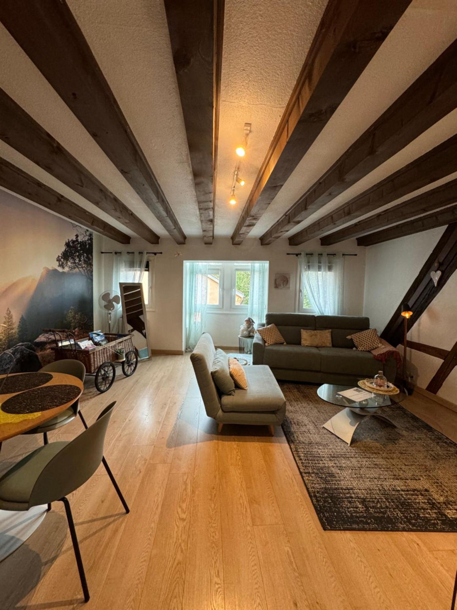 Apartamento Colombages De La Lauch Colmar Exterior foto